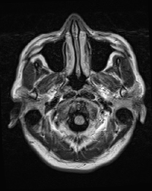 Click on the Serie image to view the images of VILLANUEVA, WILLIAM A.